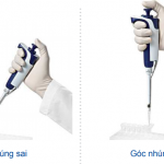 cách sử dụng pipet