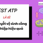TEST ATP là gì