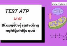 TEST ATP là gì