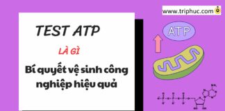 TEST ATP là gì