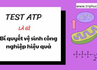 TEST ATP là gì, Bí quyết vệ sinh công nghiệp hiệu quả TEST ATP là gì