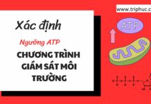 Xác định ngưỡng ATP cho chương trình giám sát môi trường