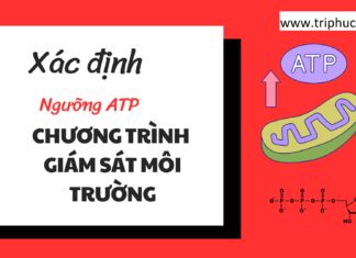 Xác định ngưỡng ATP cho chương trình giám sát môi trường