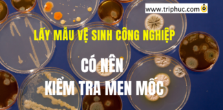 Lấy mẫu vệ sinh công nghiệp có nên kiểm tra men mốc