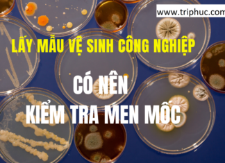 Lấy mẫu vệ sinh công nghiệp có nên kiểm tra men mốc