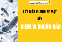 Lấy mẫu vi sinh bề mặt nên kiểm vi khuẩn nào Lấy mẫu vi sinh bề mặt nên kiểm vi khuẩn nào