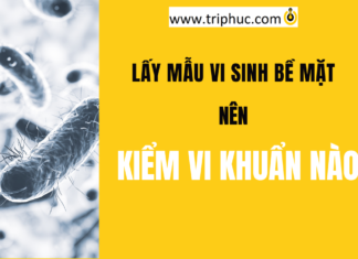 Lấy mẫu vi sinh bề mặt nên kiểm vi khuẩn nào