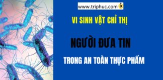 Vi sinh vật chỉ thị là gì