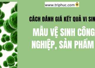 đánh giá kết quả lấy mẫu vệ sinh công nghiệp
