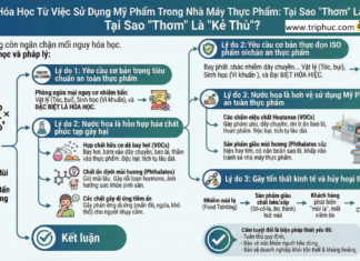 Mối nguy hóa học từ việc sử dụng mỹ phẩm trong nhà máy thực phẩm