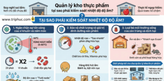 Quản lý kho thực phẩm tại sao phải kiểm soát nhiệt độ độ ẩm?
