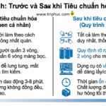 Tieu chuan hoa cong viec