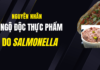 Nguyên nhân ngộ độc thực phẩm do Salmonella