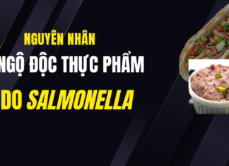 Nguyên nhân ngộ độc thực phẩm do Salmonella