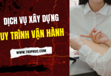 Dịch Vụ Xây Dựng Quy Trình Vận Hành