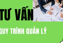Tư Vấn Quy Trình Quản Lý