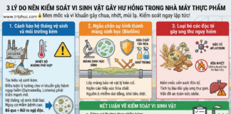 3 lý do nên kiểm soát vi sinh vật gây hư hỏng