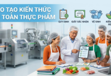 Đào tạo kiến thức an toàn thực phẩm